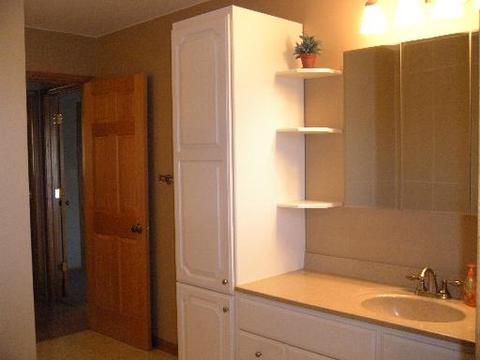 3610 Beth Dr, Morris, IL 60450 photo 11