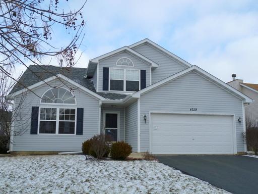 4219 Ashcott Ln, Plainfield, IL 60586 photo 1