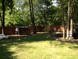 121 W Union Ave, Wheaton, IL 60187 photo 8