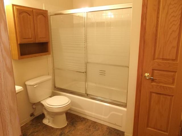 306 Primrose Ct, Aurora, IL 60504 photo 8
