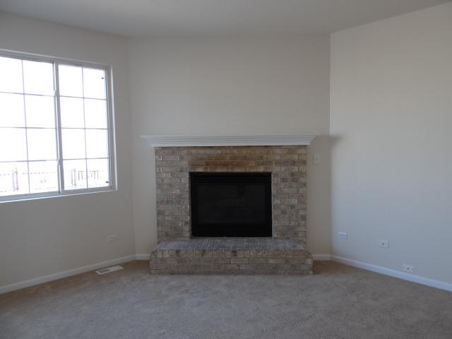 1708 Fox Ridge Dr, Plainfield, IL 60586 photo 20