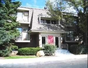 264 Bailey #a, Naperville, IL 60565 photo 1