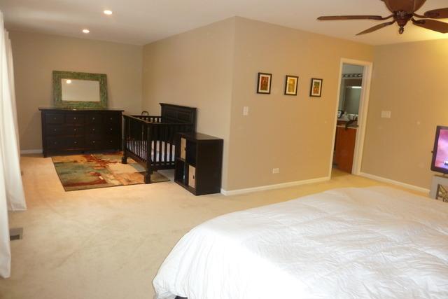 441 Blue Heron Cir, Bartlett, IL 60103 photo 15