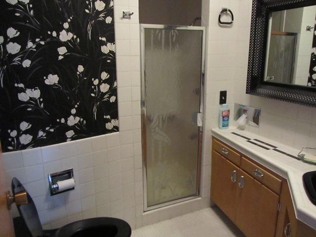 6400 Thurlow St, Willowbrook, IL 60527 photo 11