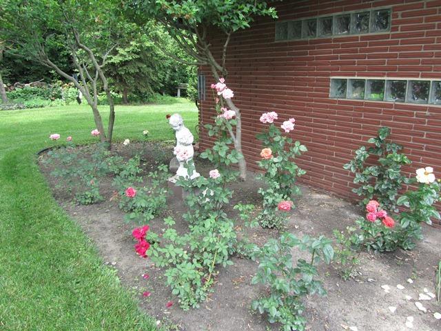6400 Thurlow St, Willowbrook, IL 60527 photo 2