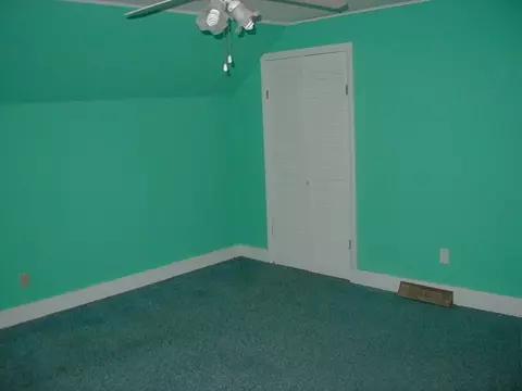 403 13th Ave, Mendota, IL 61342 photo 11