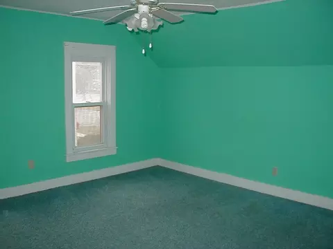 403 13th Ave, Mendota, IL 61342 photo 12