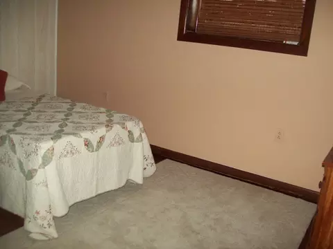 320 Depot St, Walnut, IL 61376 photo 9