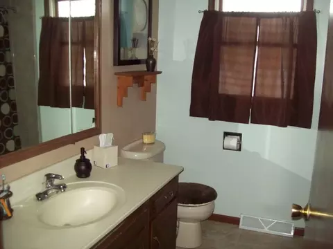 320 Depot St, Walnut, IL 61376 photo 8