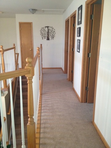 68 Old Mill Trl, Antioch, IL 60002 photo 15