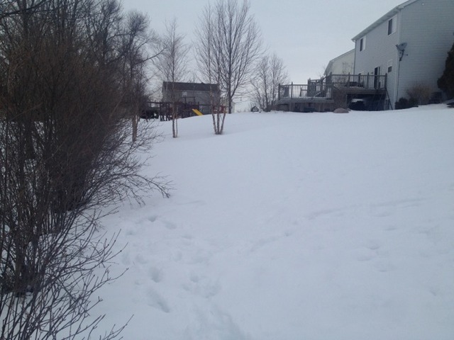 68 Old Mill Trl, Antioch, IL 60002 photo 24