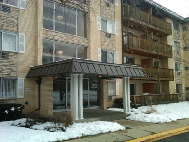 2222 S Goebbert Rd #251, Arlington Heights, IL 60005 photo 1