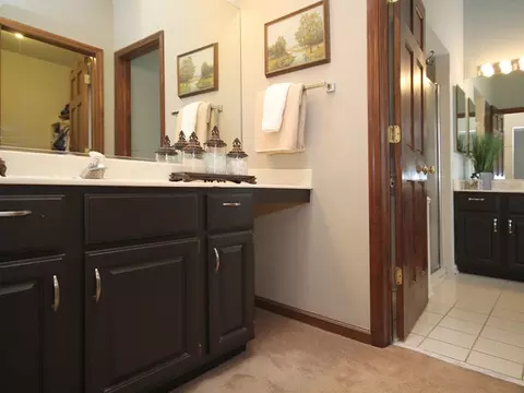 411 Appollo Ct, Wheaton, IL 60189 photo 15