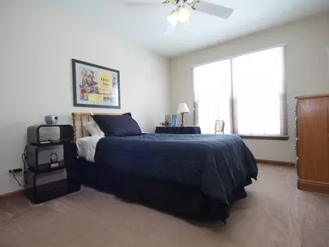 411 Appollo Ct, Wheaton, IL 60189 photo 19