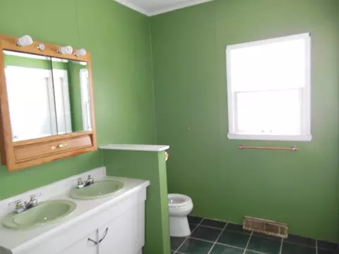 401 E Cleveland St, Spring Valley, IL 61362 photo 6