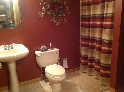 116 Julie Dr, Dwight, IL 60420 photo 22