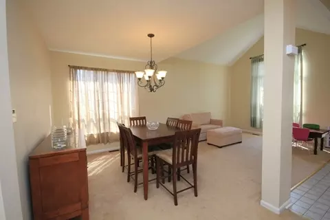234 Skylark Ct, Bartlett, IL 60103 photo 8