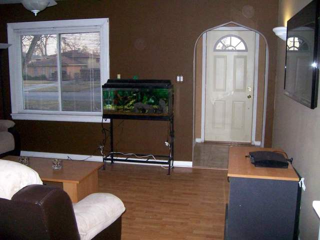 3534 186th St, Lansing, IL 60438 photo 8