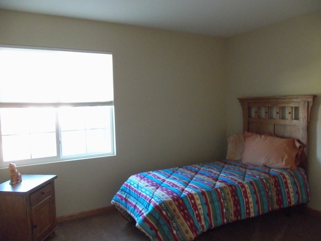 1805 Eagle Dr, Morris, IL 60450 photo 7