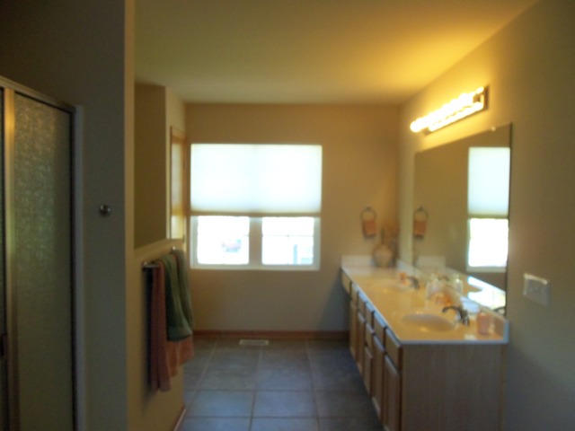 1805 Eagle Dr, Morris, IL 60450 photo 9