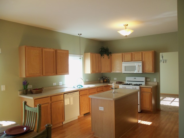 1805 Eagle Dr, Morris, IL 60450 photo 5