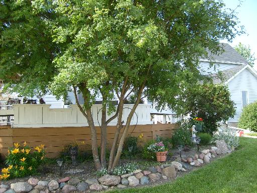7470 E Clare Rd, Clare, IL 60111 photo 10