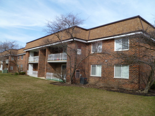 1104 Springinsguth Rd #1d, Schaumburg, IL 60193 photo 1