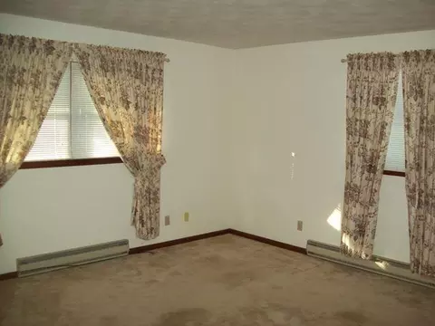 106 Pleasant Ct, Walnut, IL 61376 photo 3