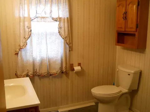 116 W Fourth St, Spring Valley, IL 61362 photo 5