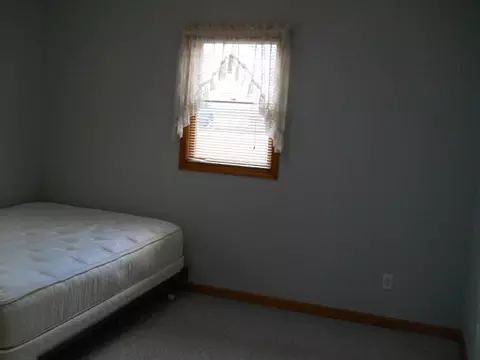 116 W Fourth St, Spring Valley, IL 61362 photo 3