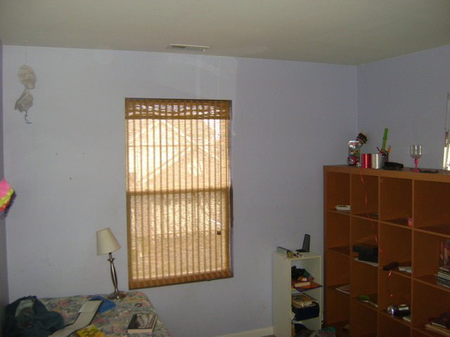 1565 Millbrook Dr, Algonquin, IL 60102 photo 8