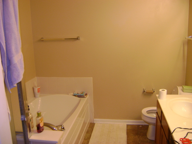 1565 Millbrook Dr, Algonquin, IL 60102 photo 6