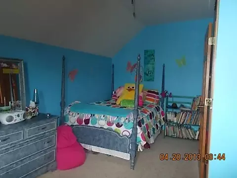 216 E First St, Spring Valley, IL 61362 photo 10