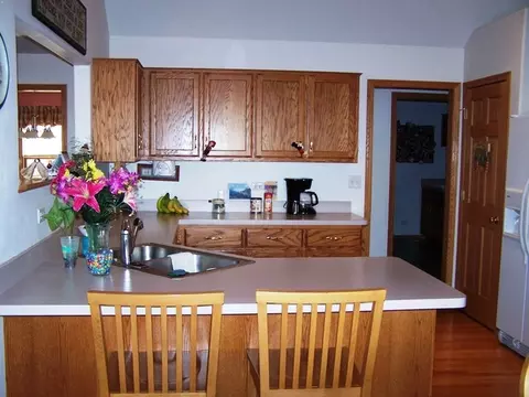 704 Clifford Dr, Minooka, IL 60447 photo 11
