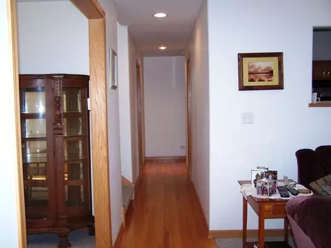 704 Clifford Dr, Minooka, IL 60447 photo 7