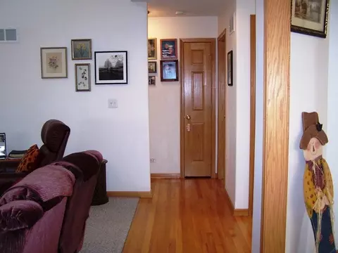 704 Clifford Dr, Minooka, IL 60447 photo 16