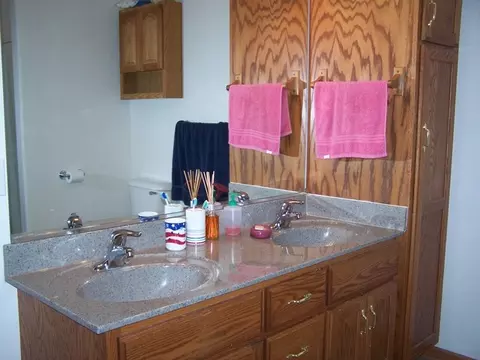 704 Clifford Dr, Minooka, IL 60447 photo 15