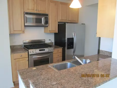 420 E Waterside Dr #412, Chicago, IL 60601 photo 6
