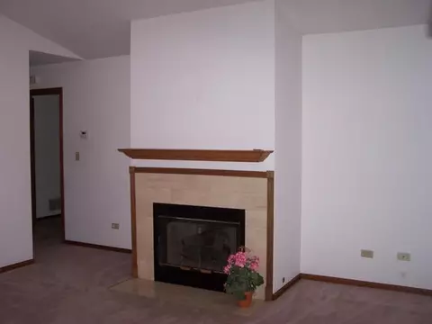 20830 W Hickory Ct, Plainfield, IL 60544 photo 5