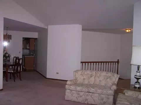 20830 W Hickory Ct, Plainfield, IL 60544 photo 6