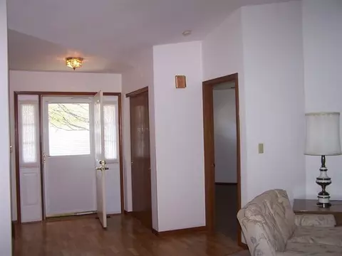 20830 W Hickory Ct, Plainfield, IL 60544 photo 3