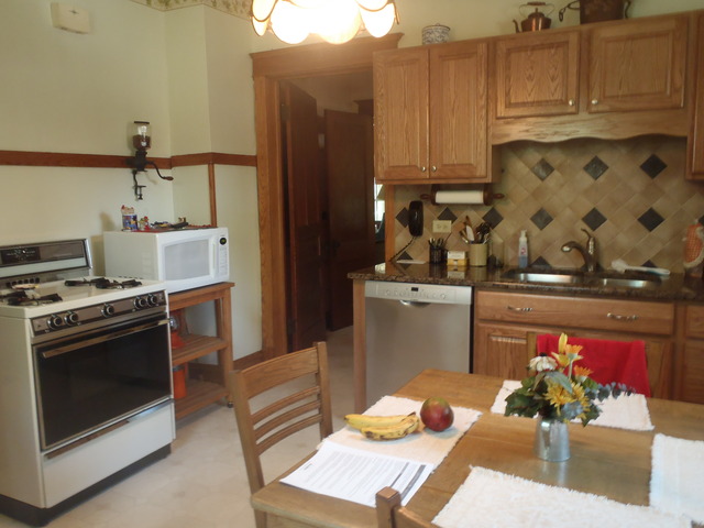 331 Forest Ave, River Forest, IL 60305 photo 9