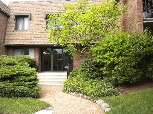 210 Old Oak Dr #260, Buffalo Grove, IL 60089 photo 1