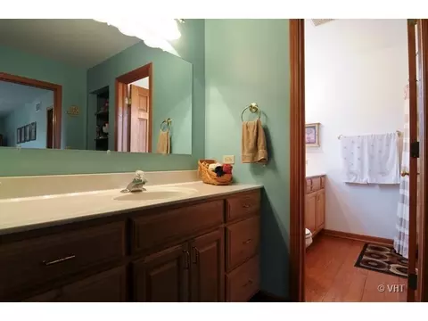 9802 Fox Bluff Ln, Spring Grove, IL 60081 photo 10