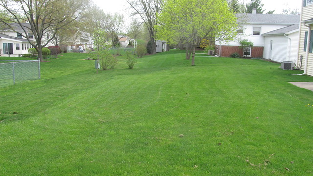 718 Maple Ln, Darien, IL 60561 photo 21