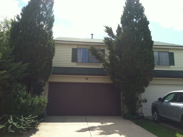 19 Buckingham Ln, Buffalo Grove, IL 60089 photo 1