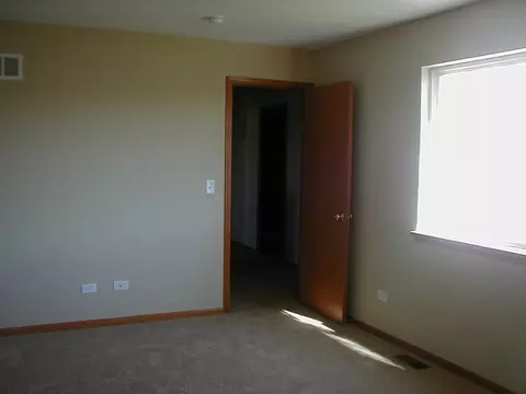 332 Aster Dr, Minooka, IL 60447 photo 7
