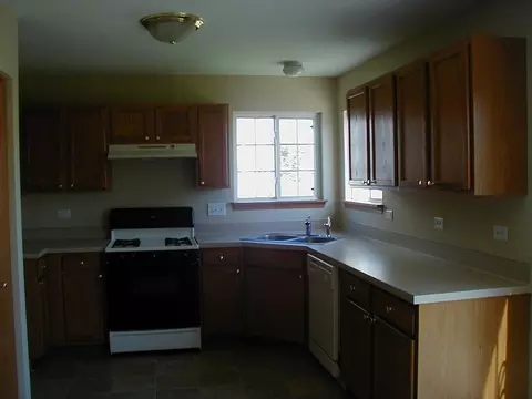 332 Aster Dr, Minooka, IL 60447 photo 2