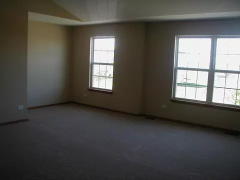 332 Aster Dr, Minooka, IL 60447 photo 12