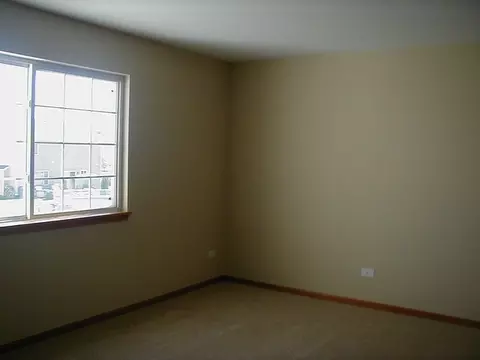 332 Aster Dr, Minooka, IL 60447 photo 6